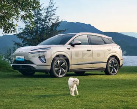 BYD S6 2025 купить в Москве